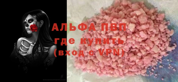 стаф Арсеньев