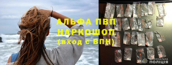 стаф Арсеньев