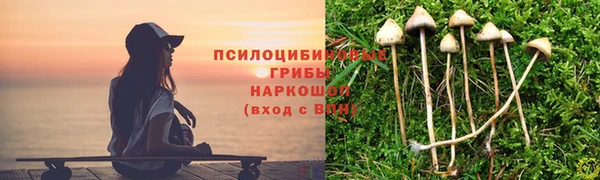 стаф Арсеньев
