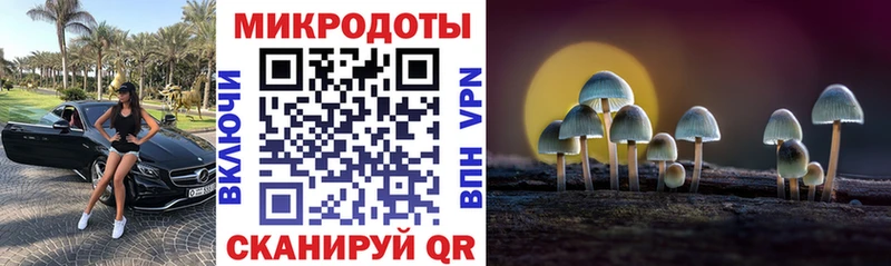 цена наркотик  мориарти клад  Псилоцибиновые грибы Cubensis  Онега 